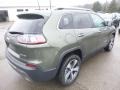 2019 Olive Green Pearl Jeep Cherokee Limited 4x4  photo #5