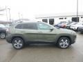 2019 Olive Green Pearl Jeep Cherokee Limited 4x4  photo #6