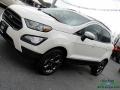 White Platinum - EcoSport SES 4WD Photo No. 31