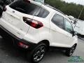 White Platinum - EcoSport SES 4WD Photo No. 33