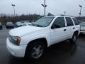 Summit White 2007 Chevrolet TrailBlazer LS 4x4