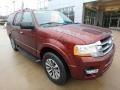 2017 Ruby Red Ford Expedition XLT 4x4  photo #9