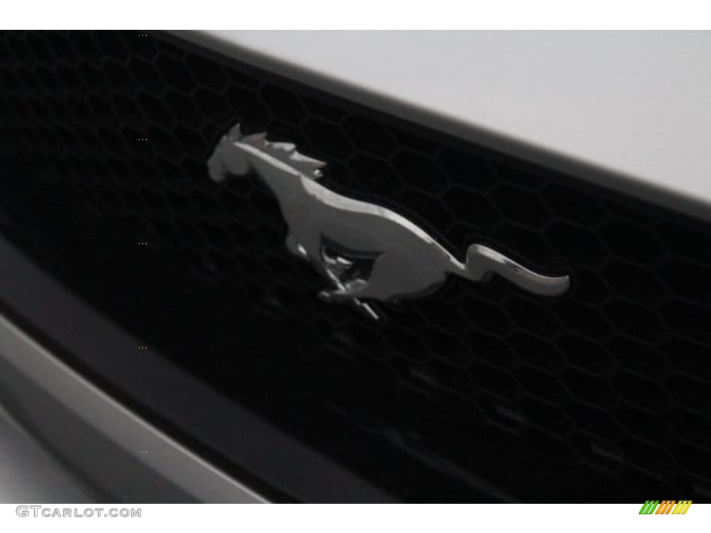 2018 Mustang GT Premium Fastback - Ingot Silver / Ebony photo #4