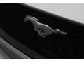 2018 Ingot Silver Ford Mustang GT Premium Fastback  photo #4