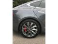 2016 Midnight Silver Metallic Tesla Model S P90D  photo #15