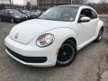 Candy White - Beetle 2.5L Photo No. 2
