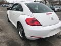 Candy White - Beetle 2.5L Photo No. 5