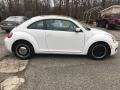 Candy White - Beetle 2.5L Photo No. 8