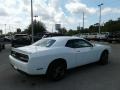White Knuckle - Challenger SXT Photo No. 5