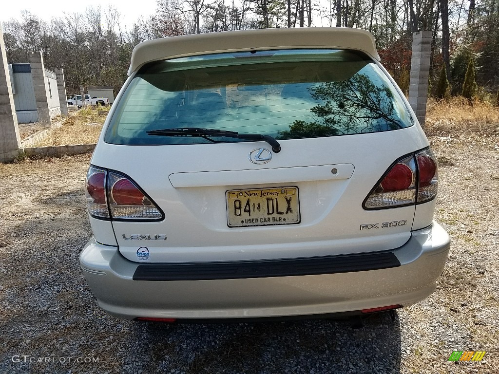 2002 RX 300 AWD - White Gold Crystal / Ivory photo #8