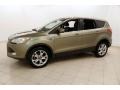 2013 Ginger Ale Metallic Ford Escape SEL 1.6L EcoBoost  photo #3