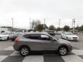 Platinum Graphite - Rogue SV Photo No. 3