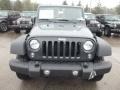 Rhino - Wrangler Unlimited Sport 4x4 Photo No. 8
