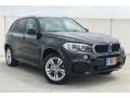 Black Sapphire Metallic - X5 sDrive35i Photo No. 12