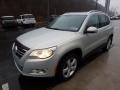 Reflex Silver Metallic - Tiguan Wolfsburg Edition 4Motion Photo No. 7