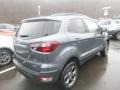 Smoke - EcoSport SES 4WD Photo No. 2