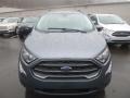 Smoke - EcoSport SES 4WD Photo No. 4