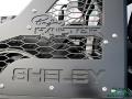 2018 Lightning Blue Ford F150 Shelby BAJA Raptor SuperCrew 4x4  photo #40