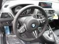 2018 BMW M2 Black Interior Steering Wheel Photo