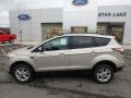 White Gold - Escape SE 4WD Photo No. 9