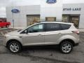 2018 White Gold Ford Escape SE 4WD  photo #9