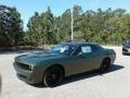 F8 Green - Challenger SXT Photo No. 1