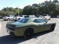 F8 Green - Challenger SXT Photo No. 5