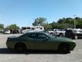 F8 Green - Challenger SXT Photo No. 6