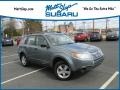 2010 Sage Green Metallic Subaru Forester 2.5 X Premium  photo #1