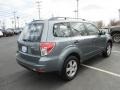 2010 Sage Green Metallic Subaru Forester 2.5 X Premium  photo #6