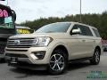 2018 White Gold Ford Expedition XLT  photo #1