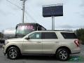 2018 White Gold Ford Expedition XLT  photo #2