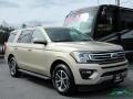 2018 White Gold Ford Expedition XLT  photo #7