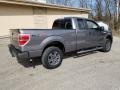 Sterling Grey Metallic - F150 STX SuperCab 4x4 Photo No. 6