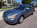 2009 Medium Silver Blue Hyundai Sonata GLS  photo #57