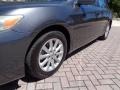 Magnetic Gray Metallic - Camry XLE V6 Photo No. 38