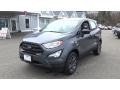 Smoke 2018 Ford EcoSport S 4WD Exterior