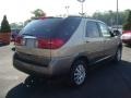 2005 Cashmere Beige Metallic Buick Rendezvous CX  photo #3