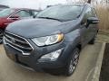 Smoke - EcoSport Titanium 4WD Photo No. 1