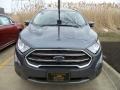 Smoke - EcoSport Titanium 4WD Photo No. 2