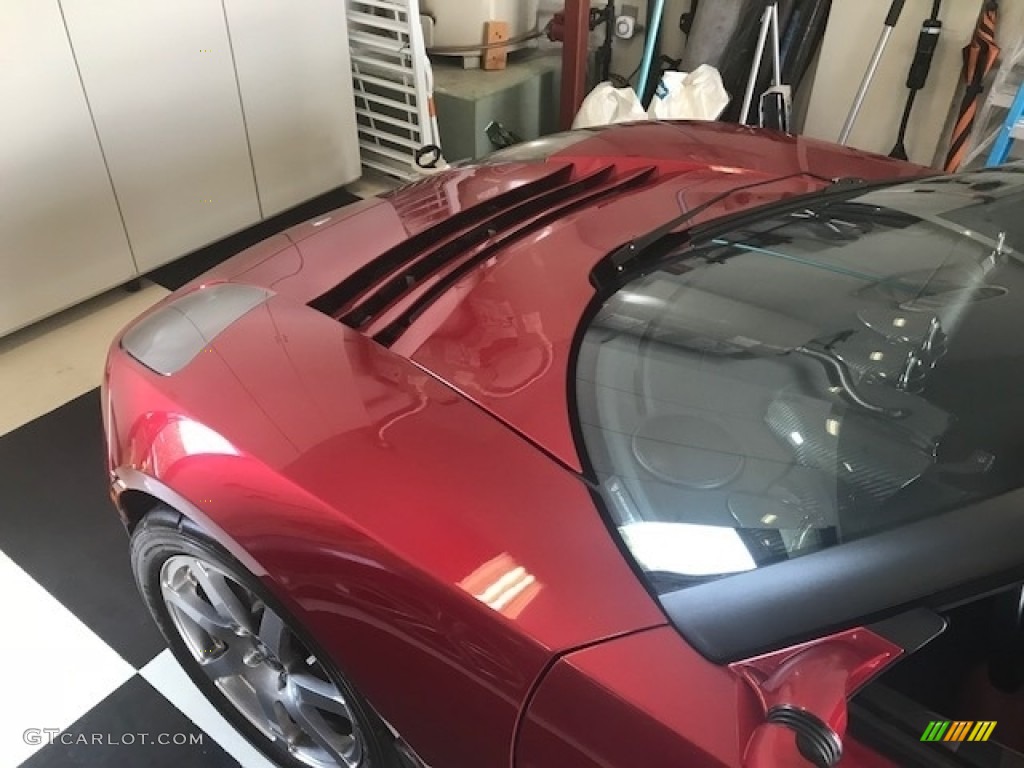 2010 Roadster Sport - Radiant Red Metallic / Red photo #16