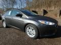 Magnetic - Focus SE Sedan Photo No. 9