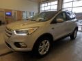 2018 White Gold Ford Escape SEL 4WD  photo #4