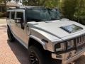 2009 Limited Edition Silver Ice Hummer H2 SUV Silver Ice  photo #7