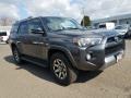 2017 Magnetic Gray Metallic Toyota 4Runner TRD Off-Road 4x4  photo #1