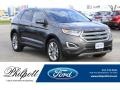 2018 Magnetic Ford Edge Titanium  photo #1