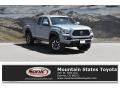 2018 Cement Toyota Tacoma TRD Off Road Access Cab 4x4  photo #1