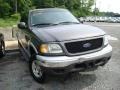 2002 Dark Shadow Grey Metallic Ford F150 XLT SuperCrew 4x4  photo #1