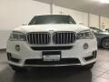 Alpine White - X5 xDrive35i Photo No. 1