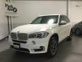 Alpine White - X5 xDrive35i Photo No. 2